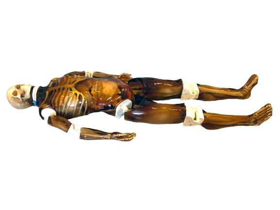 Cobia Dental Solutions